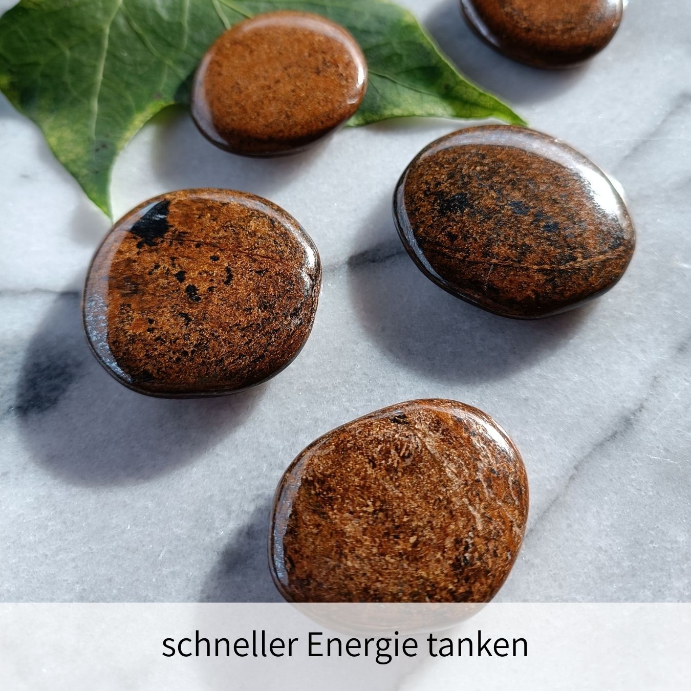 Taschenstein Bronzit